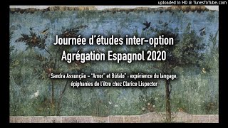 Sandra Assunção Amor et O Búfalo expérience du langage épiphanies de lêtre chez Clarice Lispector [upl. by Wall369]