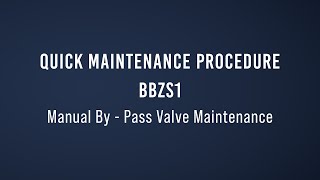 Quick maintenance Manutenzione valvole BBZS1 Manual By pass valve  Bypass manuale [upl. by Benedicto]