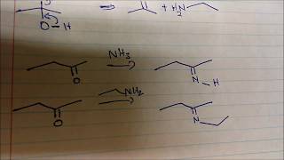 Hydrolysis of Imines Reaction and Mechanism Plus The Formation of Enamines [upl. by Naejarual6]