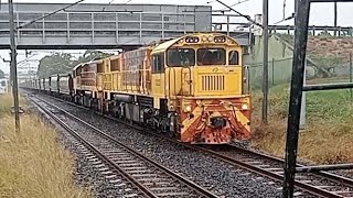 Aurzion 2300s working 9821 loaded coal train at Murarrie station to port coal clyde freight [upl. by Hallsy916]