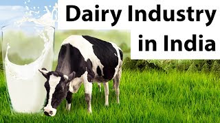 Dairy Industry in India  Problems challenges and the future of Indian dairy industry [upl. by Cooperman]