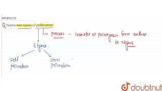 Name two types of pollination  CLASS 10  HOW DO ORGANISMS REPRODUCE  BIOLOGY  Doubtnut [upl. by Brecher]