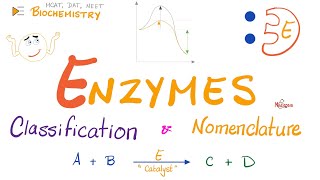 Enzymes Nomenclature and Classifications  Names and Types  Biochemistry 🧪 [upl. by Inaboy]