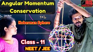 Hoberman Sphere  Angular Momentum  Rotational Motion jee neet [upl. by Caresa]