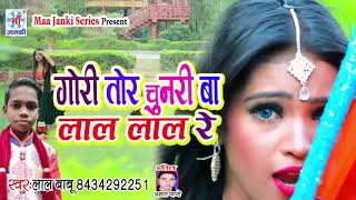 Gori Tor Chunari Ba Lal Lal Re  Lal Babu  गोरी तोर चुनरी बा लाल लाल रे  Maa Janki Series [upl. by Hogg]