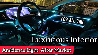 Ambient Light For All Car  Interior Modification  Best Mood Lights  vahan Official [upl. by Ennaeiluj]