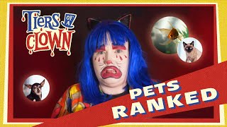 Tiers Of A Clown PETS w Alex Ptak [upl. by Eecak882]