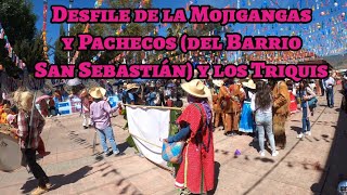 Desfilan en el Carnaval las Mojigangas y Los Pachecos del Barrio y los Triquis [upl. by Drusilla]