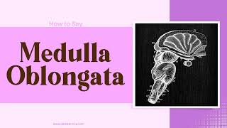 How to Say Medulla Oblongata In British English [upl. by Esiuqcaj]