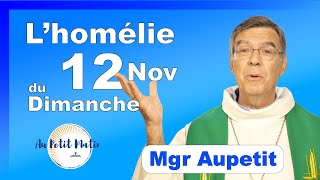 Évangile et homélie du Dimanche 12 Novembre  Avec Mgr Aupetit [upl. by Aible253]