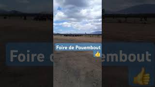 Foire agricole Pouembout acousticguitar guitarist guitar fingerstyle [upl. by Boff637]