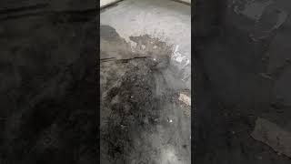 Terrazzo floors in very poor condition [upl. by Stranger629]