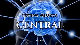 SISTEMA NERVOSO CENTRAL  FISIOLOGIA HUMANA 12 [upl. by Arrat623]