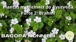 Indicações da Bacopa Monnieri Brahmi  Ayurveda [upl. by Rida581]