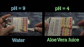 Bentonite Clay Water vs Aloe Vera Juice [upl. by Yahsan498]