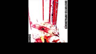 Distorted Impalement  Amok Full Demo [upl. by Vachill514]