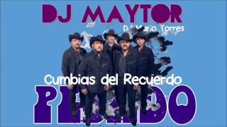 PESADO CUMBIAS DEL RECUERDO MIX DJ Maytor [upl. by Valenza]