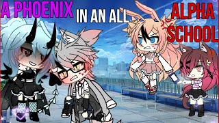 A tomboy in an all alpha school Part 2 GLMM  Gacha Life Mini Movie GachaIbex [upl. by Suehtomit314]