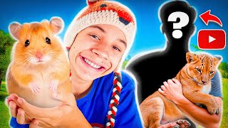 Revelei os Pets dos YOUTUBERS Famosos [upl. by Liane970]