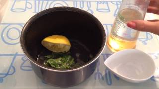 Réaliser une infusion menthe fraîche et citron  Recette dhiver [upl. by Milewski144]