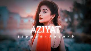 Aziyat  Pratyush Dhiman Ft Jahnvi Rao LYRICS [upl. by Gui]