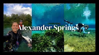 SCUBA DIVING  Alexander Springs Ocala National Forest Florida [upl. by Ennoid]