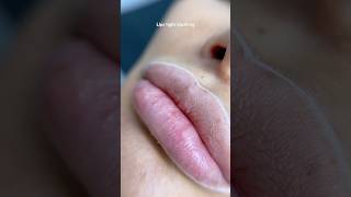 Semipermanent lip color enhancement lipcolor tutoriallips videoviral [upl. by Enyamert504]