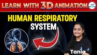 Explore the Human Respiratory System 3D Animation Explained  NEET 2025 Zoology  Class 11th [upl. by Clary]