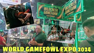 WORLD GAMEFOWL EXPO 2024  WILDCREEK GAMEFARM  BALERIANS GAMEYARD [upl. by Swords]