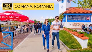 The Best Way to Discover the Best Places in Romania Comana Park Walk Tour [upl. by Pahl16]