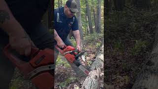 Ported husqvarna 357xp 2 husquarna chainsaw husqvarnachainsaw stihl500i wood husqvarna572xp [upl. by Nodgnal]