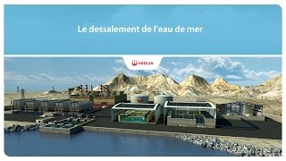 Le dessalement de leau de mer  Veolia [upl. by Ydnagrub]