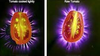 The Mystery of Human Aura  Chakras  Biofield Electrography and Kirlian Photography spiritual nde [upl. by Nilyahs]