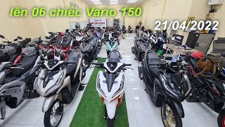 Báo giá xe cũ chi tiết 06 xe Vario 150 ngày 21042023 vario150 vario [upl. by Asehr513]