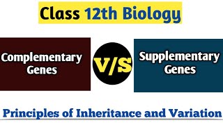 Difference Between Complementary Gene amp Supplementary Gene  Principles of Inheritance And Variation [upl. by Enirok]