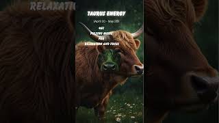 Taurus Energy April 20  May 20 [upl. by Nyssa161]