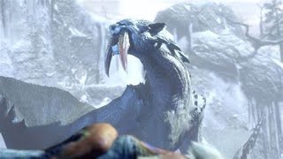 MH Rise Charge Blade Beginner VS Barioth [upl. by Nerty952]