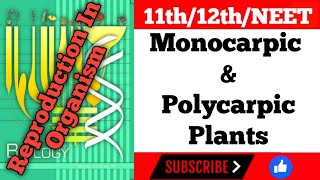 Biology Class 12th Chapter 1 Reproduction In Organisms  Monocarpic And Polycarpic Plants [upl. by Eneryc]