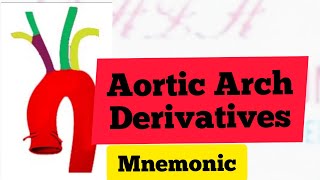 Aortic Arches Derivatives Mnemonic  MedSurvival [upl. by Harriot]