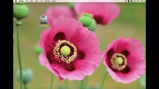 How to remove the Macintosh HD icon from the desktop on mac [upl. by Nylirrehs]