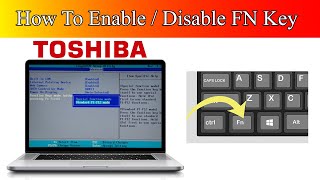 How to Enable fn key on Windows 10 Toshiba Laptop [upl. by Nitsyrc]