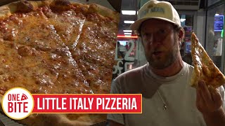 Barstool Pizza Review  Little Italy Pizzeria Auburn AL [upl. by Nnylrats]