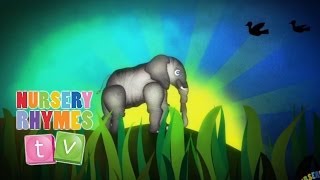 ELEPHANTS HAVE WRINKLES  New Nursery Rhymes  English Songs For Kids  Nursery Rhymes TV [upl. by Zacharia]