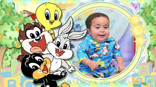 RETROSPECTIVA BABY LOONEY TUNES [upl. by Tullus]