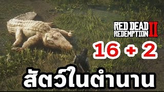 16  2 สัตว์ในตำนาน Legendary Animals  Red Dead Redemption 2 [upl. by Ennirak]