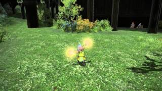 FFXIV Lalafell emote glitch [upl. by Ttocserp]