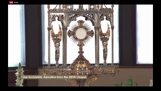 LIVE Eucharistic Adoration on EWTN [upl. by Oner]