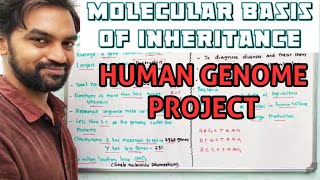 Human Genome Project  Molecular basis of Inheritance [upl. by Eon]