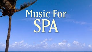 8 HOURS SPA MUSIC PLAYLIST  Healing Arts Massage amp Meditation  with Earth Resonance Frequency [upl. by Kho871]