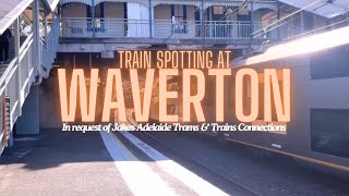 Train spotting at Waverton in request of jakesadelaidetramstrainsco3787 [upl. by Attenaz]